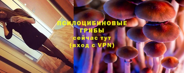 стафф Богородск