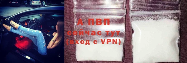 стафф Богородск