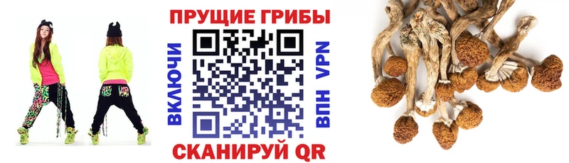 Псилоцибиновые грибы MAGIC MUSHROOMS  Ялуторовск 